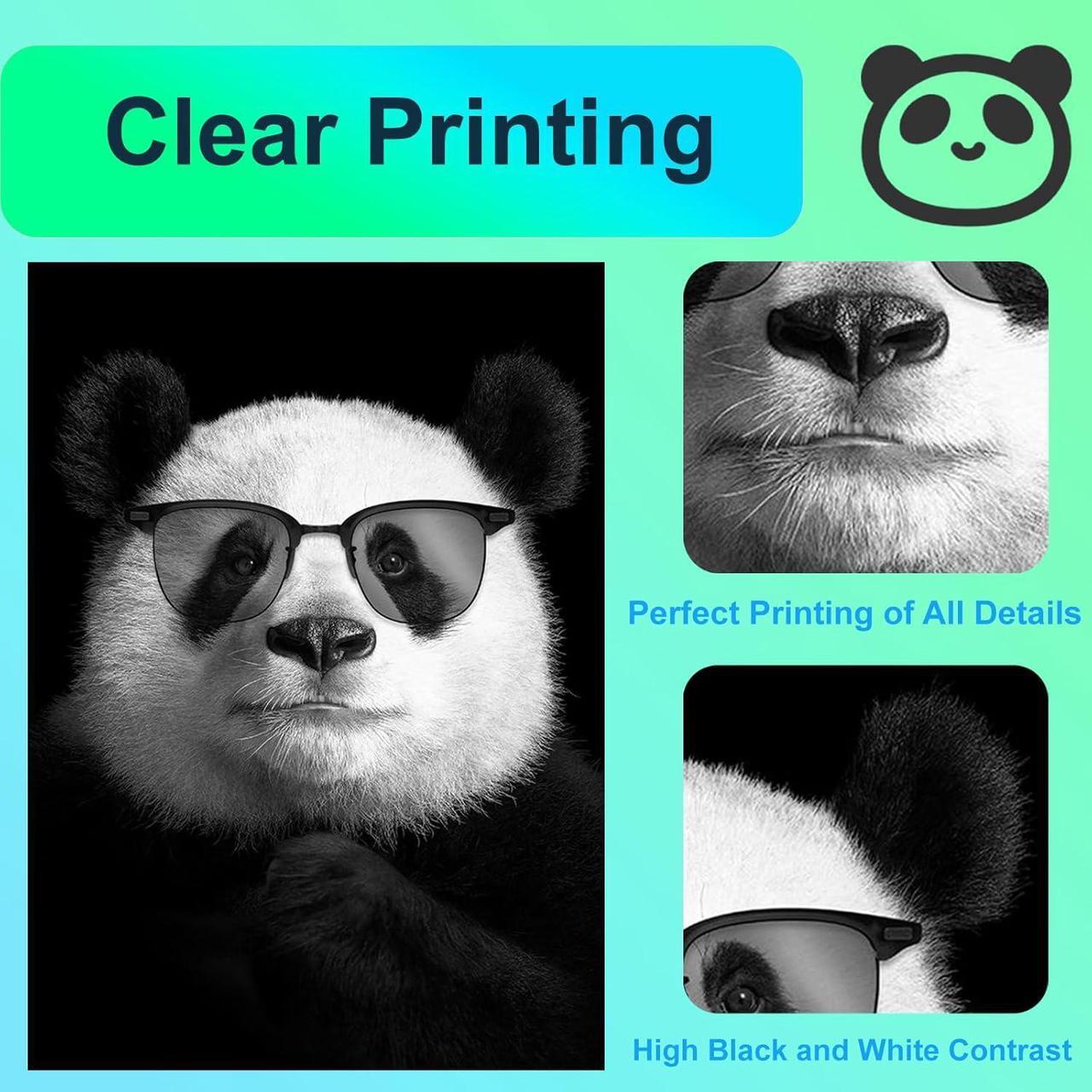 Alt view image 5 of 7 - Compatible Toner Cartridge for Brother HL-L2400D HL-L2405W HL-L2420DW HL-L2460DW HL-L2465DW HL-L2480DW DCP-L2640DW MFC-L2760DW Printer - Replacement for TN-830 TN830 Toner Cartridge (Black 2Pack)