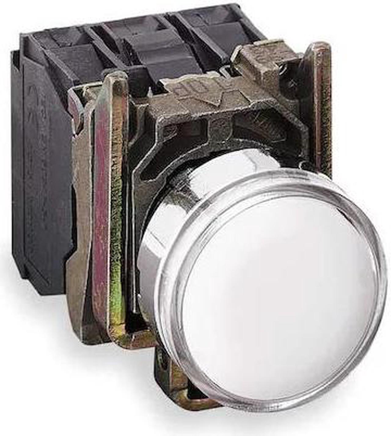 Main image of SCHNEIDER ELECTRIC XB4BW31B5 Illuminated Push Button,22mm,White