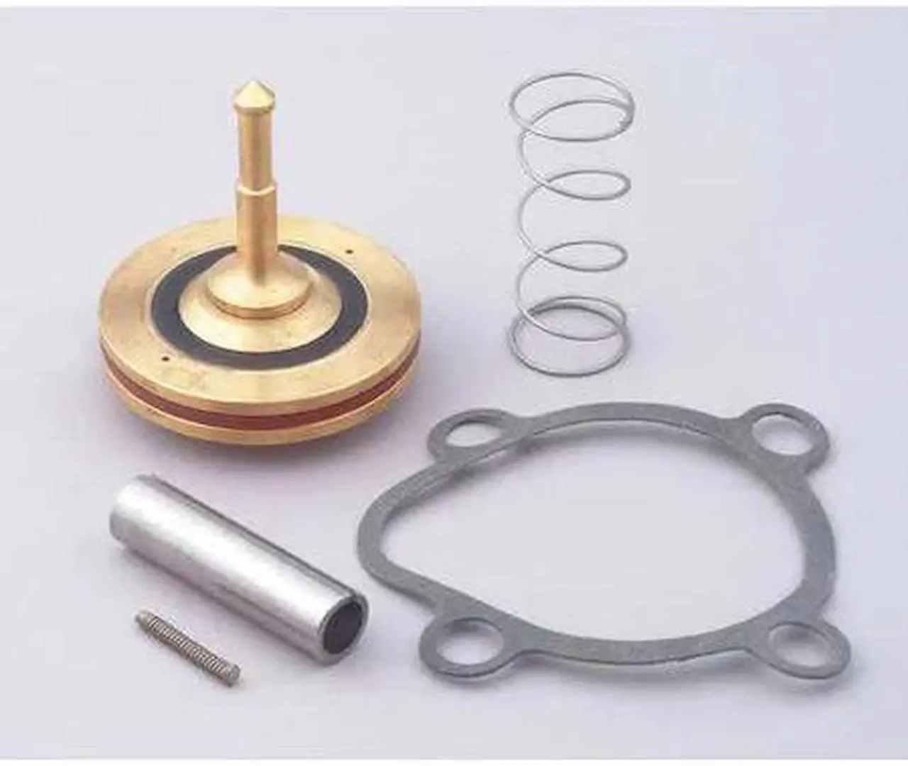 Main image of DAYTON 066056 Valve Rebuild Kit,With Instructions