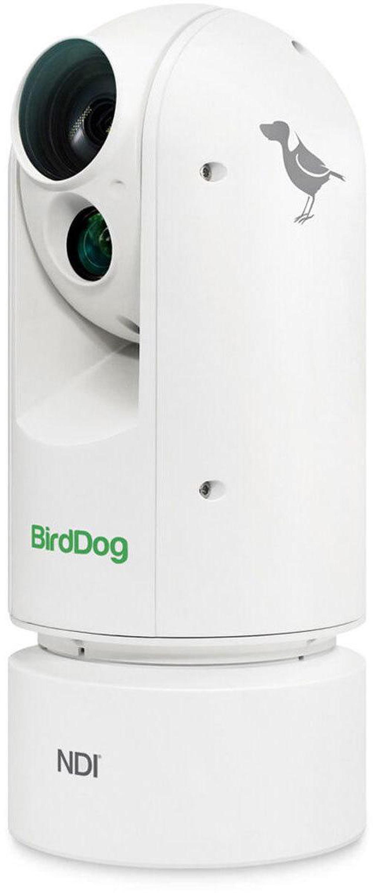 Alt view image 5 of 8 - BirdDog Eyes A300 1080p Full NDI PTZ Camera with Sony Sensor and SDI