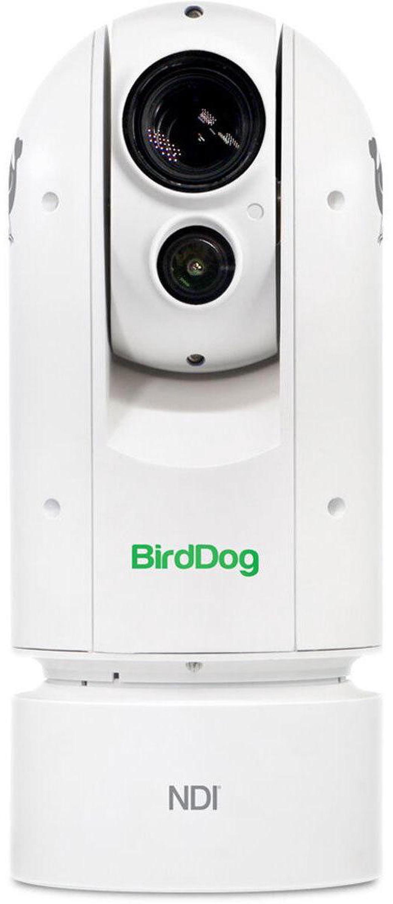 Alt view image 6 of 8 - BirdDog Eyes A300 1080p Full NDI PTZ Camera with Sony Sensor and SDI