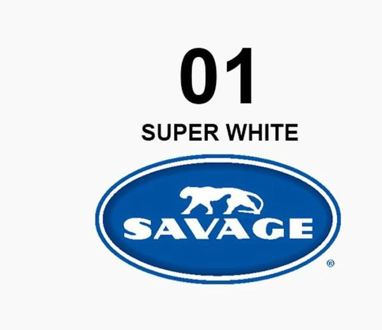Alt view image 2 of 7 - Savage Widetone Seamless Background Paper, 53" wide x 36', Super White, #1