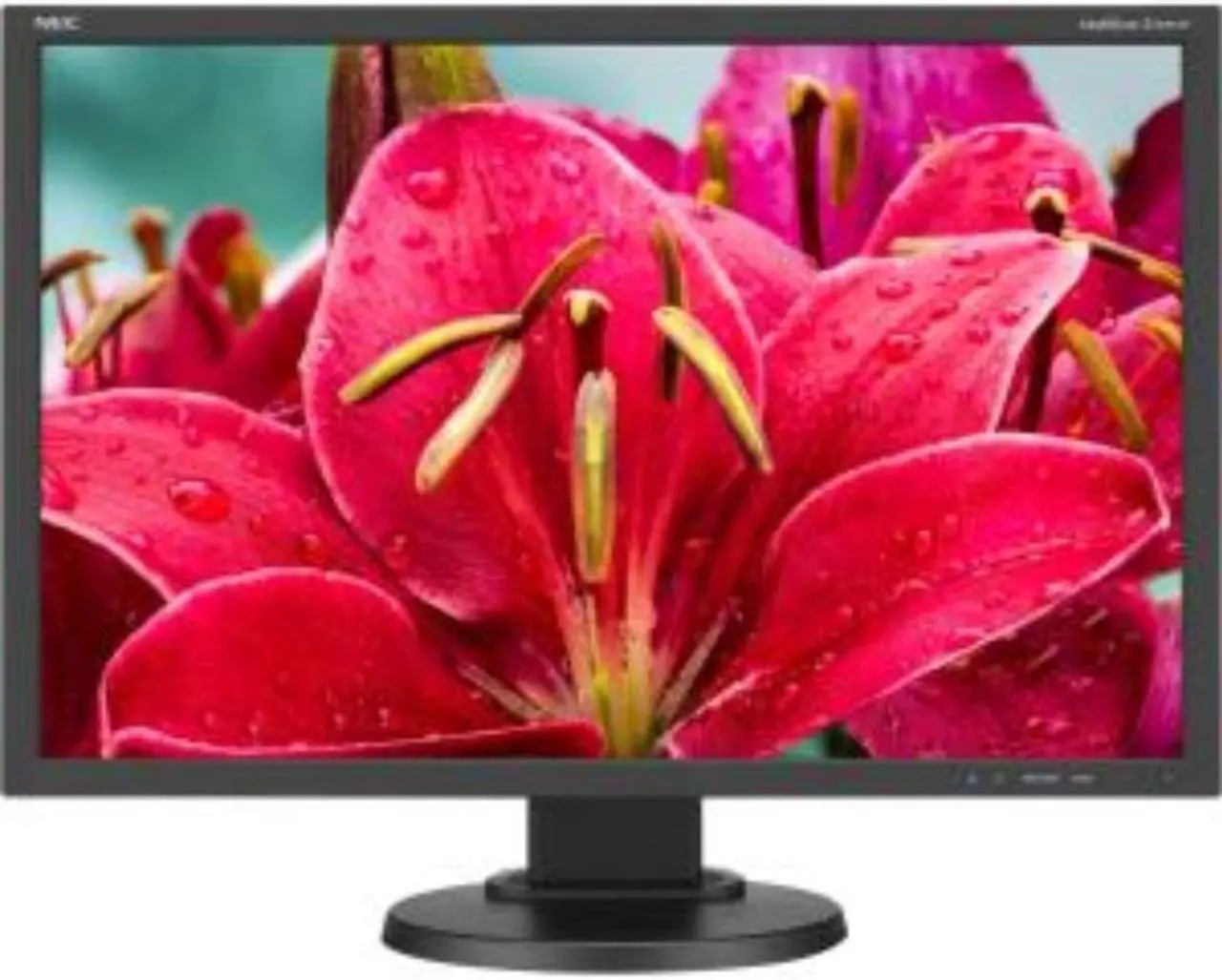 Alt view image 13 of 14 - NEC Display Solutions 24" E245WMI-BK MultiSync Professional Monitor IPS 1920 x 1200, 1000:1 contrast, DisplayPort, DVI-D, VGA, Height & Tilt Adjust, VESA Mountable