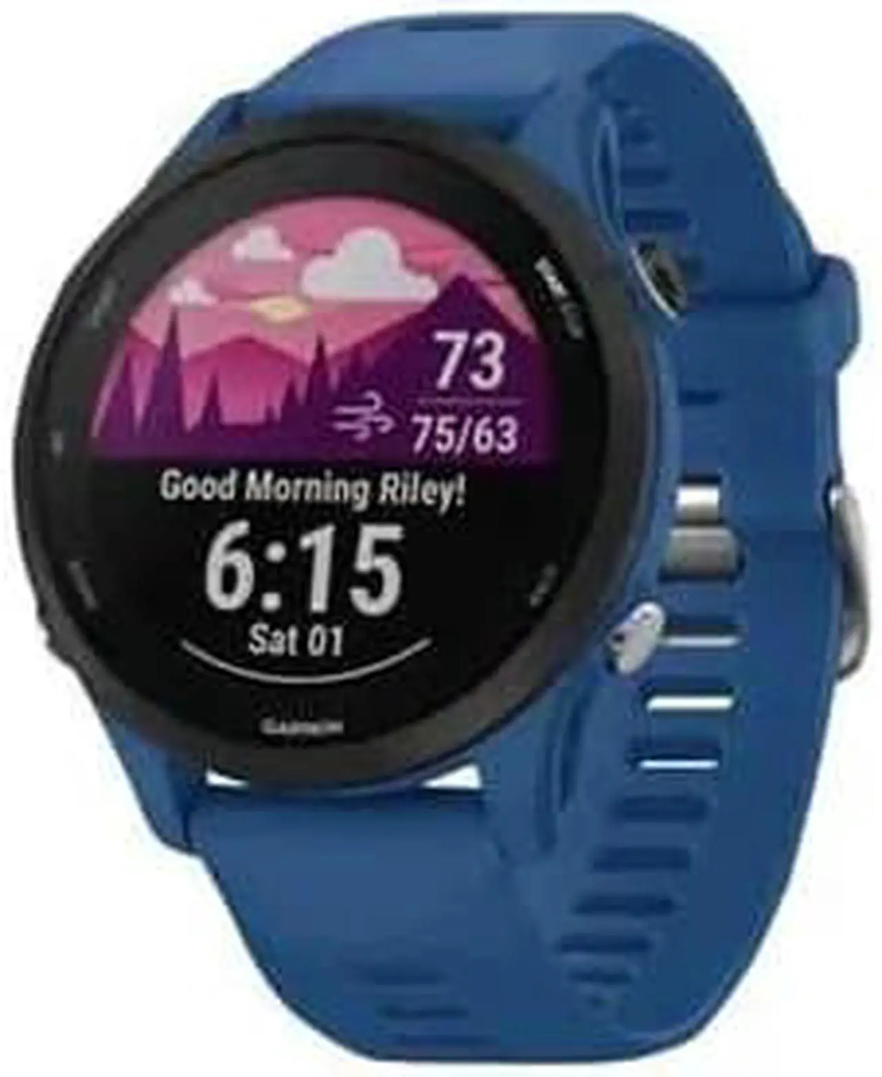 Main image of Garmin Forerunner 255 GPS Smartwatch 46 mm polymer Tidal Blue 010-02641-01