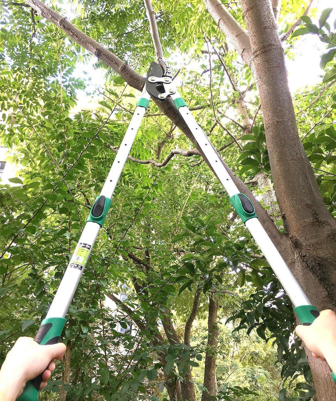 Alt view image 2 of 7 - Heavy Duty Anvil Lopping Shears -2 inch Cutting Capacity Bypass Lopper - Extendable 26 Inch to 41 Inch,Professional Tree Branch Cutter