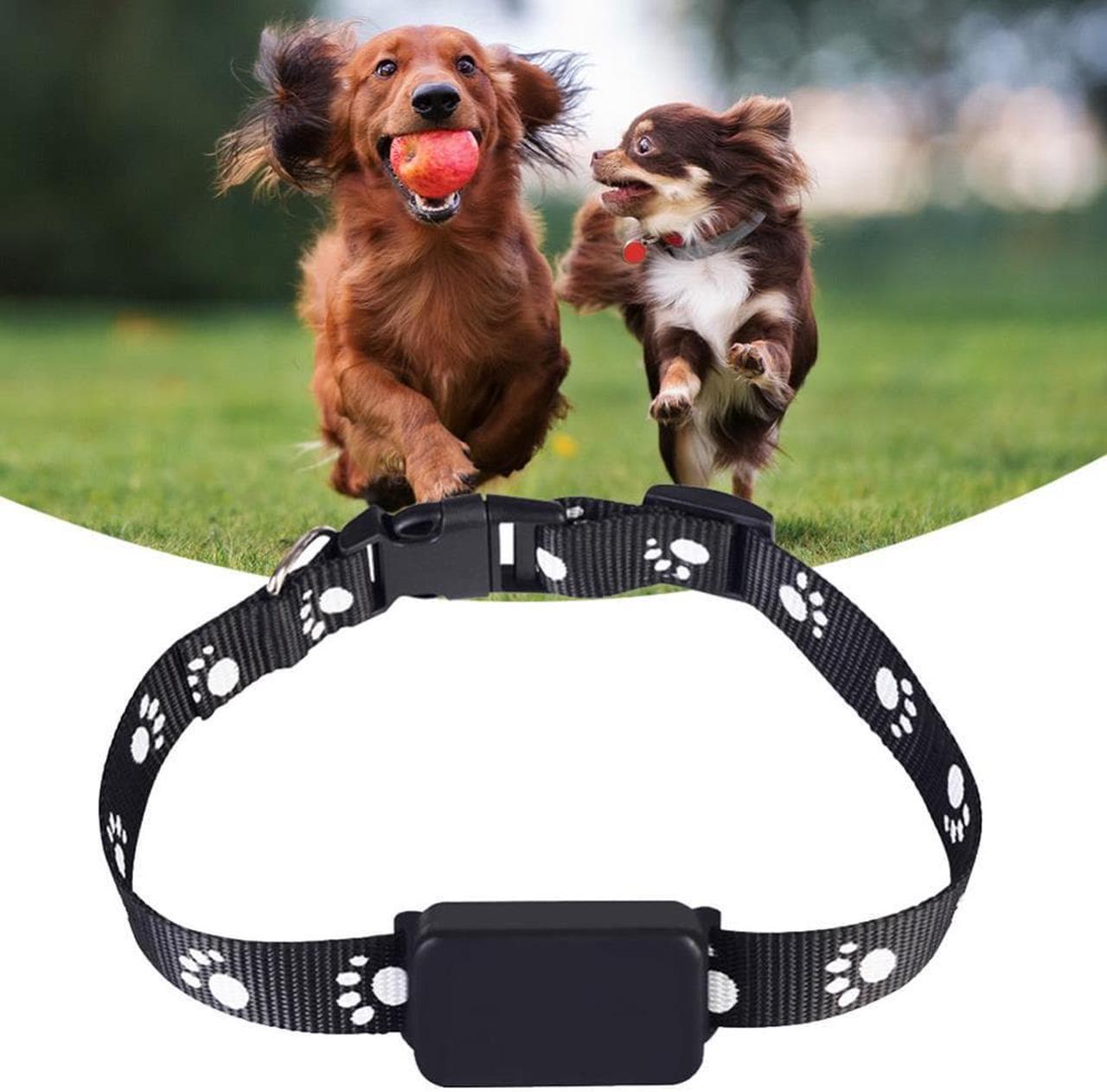 Pet Collar Tracker GPS/AGPS/LBS/WiFi Tracking Anti Loss USB Rechargeable for Elderly Children Tracking Pet Collar Locator