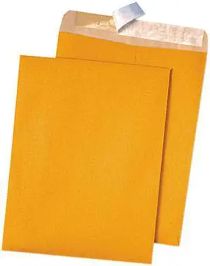 Quality Park™ Envelope,9x12rcy,Cat,Brkr 44511