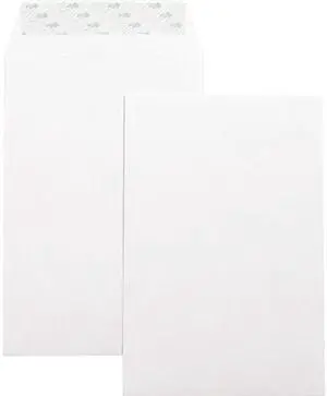 Business Source Catalog Envelopes Self Seal Plain 6"x9" 100/BX White Wove 42122