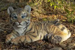 Hi-Line Gift Baby Yellow Tiger Cub Laying Down Statue