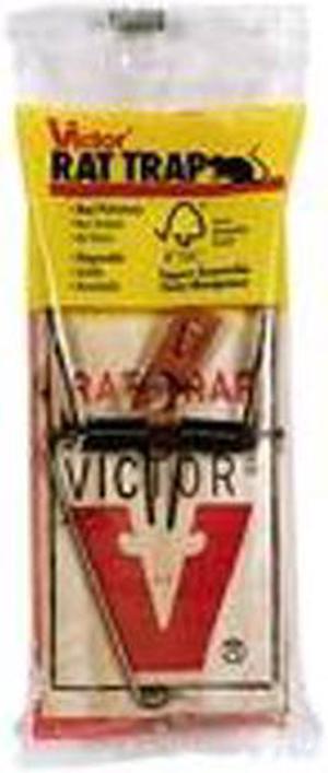 Rat Trap