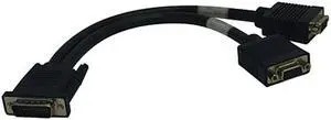 TRIPP LITE 1 - 5 ft. DMS59 to (2) VGA Female Splitter Cable P574-001