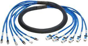 TRIPP LITE N261-010-6MF-BL 10 ft. Cat Cat6/Cat6a Blue Augmented Pre-Terminated Copper Trunk Bundle, (6x) RJ45 (M/F)