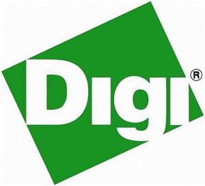 Digi International 76000238 Cable Leg 48-inch Converts RJ45 to DB25M DCE