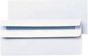 Self-Seal Business Envelope, Security Tint, #10, White, 500/Box