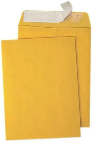 Pull & Seal Catalog Envelope, 10 X 13, Kraft, 100/Box