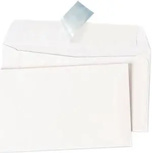 Peel Seal Strip Business Envelope, #6 3/4, White, 100/Box