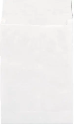 Tyvek Expansion Envelope, 10 X 13, White, 100/Box