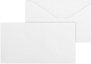 Business Source Business Envelopes Regular No 9 24lb. 500/BX WE Wove 04469