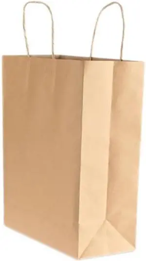 Premium Small Brown Paper Shopping Bag, 50/Box