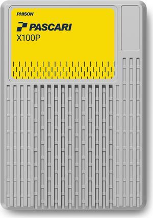 Pascari X100P U.2 30.72TB PCI-Express 4.0 Single Port Solid State Disk Enterprise - XP106H0130T7P0132T700