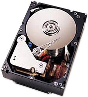 IBM 81Y9798 3TB 7200 RPM SATA 6.0Gb/s 3.5" Internal Hard Drive Bare Drive