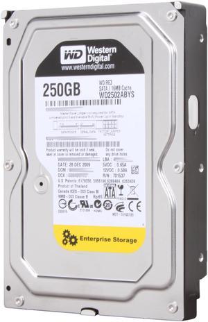 Western Digital RE3 WD2502ABYS 250GB 7200 RPM 16MB Cache SATA 3.0Gb/s 3.5" Internal Hard Drive Bare Drive