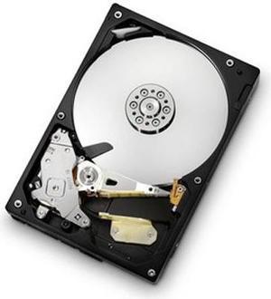 Hitachi GST Deskstar 7K1000.C 0A39261 160GB 7200 RPM SATA 3.0Gb/s 3.5" HDS721016CLA382 Internal Hard Drive