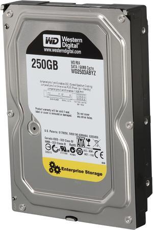 WD RE WD2503ABYZ 250GB 7200 RPM 64MB Cache SATA 6.0Gb/s 3.5" Datacenter Capacity Internal Hard Drive Bare Drive