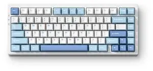 MCHOSE G75 PRO 75% Wireless Mechanical Keyboard, TKL Keyboards Tri-Mode BT5.0/2.4GHz/USB-C, Hot Swap Custom Creamy Keyboards Linear Switch, Double Shot PBT Keycaps RGB LED Backlit (Blue/Cabbage Tofu) MCHOSE G75 PRO 75% Wireless Mechanical Keyboard, TKL Keyboards Tri-Mode BT5.0/2.4GHz/USB-C, Hot Swap Custom Creamy Keyboards Linear Switch, Double Shot PBT Keycaps RGB LED Backlit (Blue/Cabbage Tofu)