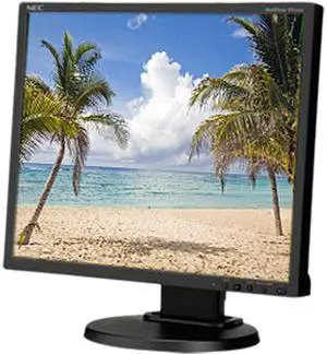 NEC Display Solutions 19" LCD Monitor 5 ms D-Sub, DVI, DisplayPort EA192M-BK-R