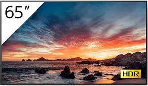 Sony BRAVIA FWD65X800H 65" 3840 x 2160 (4K) 4K Ultra HD HDR Professional Display Built-in Speaker