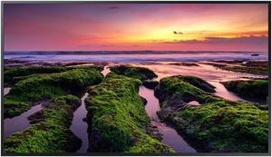 Samsung QMB Series LH50QMBEBGCXGO 50" 3840 x 2160 (4K) Display