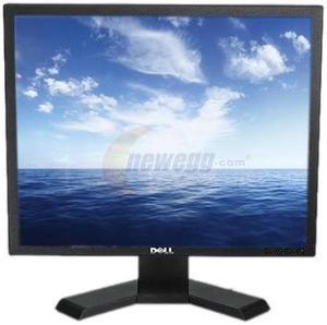 Dell E190S Black 19" 5ms   Flat Panel Monitor