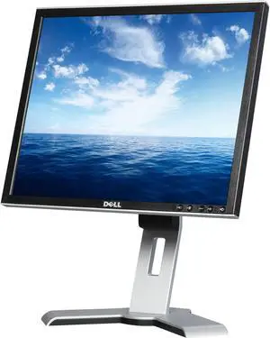 Dell 19" Active Matrix, TFT LCD Monitors - LCD Flat Panel 5 ms 1908FPT-12
