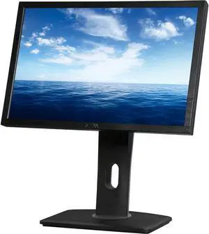 Dell 19" 60 Hz TN LCD Monitor 5 ms D-Sub, DVI E1910C-12
