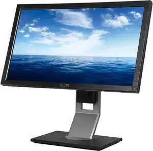 Dell 20" LCD Monitor 5 ms P2011H