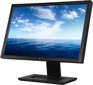 Dell 19" TN (active matrix - TFT LCD) LCD Widescreen Monitor 5 ms D-Sub, DVI P1911T