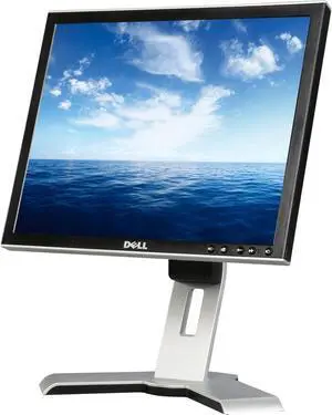 Dell 17" 60 Hz Monitors - LCD Flat Panel 5 ms 1708FPB