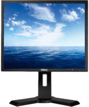 Dell 19" 60 Hz TN LCD Monitor 5 ms D-Sub, DVI-D P190S