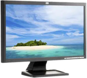 HP 20" Active Matrix, TFT LCD LCD Monitor 5 ms D-Sub LE2001W