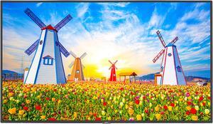 NEC Display Solutions M651 Black 65" 8ms 3840 x 2160 (4K) 1.07 Billion Colors LED LCD, UHD, High Haze, 24/7, 500nits, HDMI x2, DP x1, Accepts SDM-S or L, Full External Control, Rpi Compatible