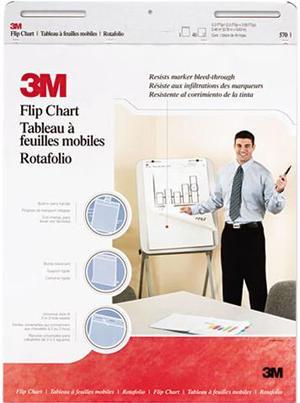 Professional Flip Chart Pad, Unruled, 25 x 30, White, 40 Sheets/Pad, 2/Carton