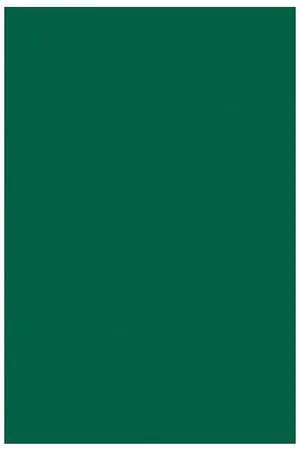 Spectra 0059130 Deluxe Bleeding Tissue Paper, 20x30", Emerald Green (Pack of 24)