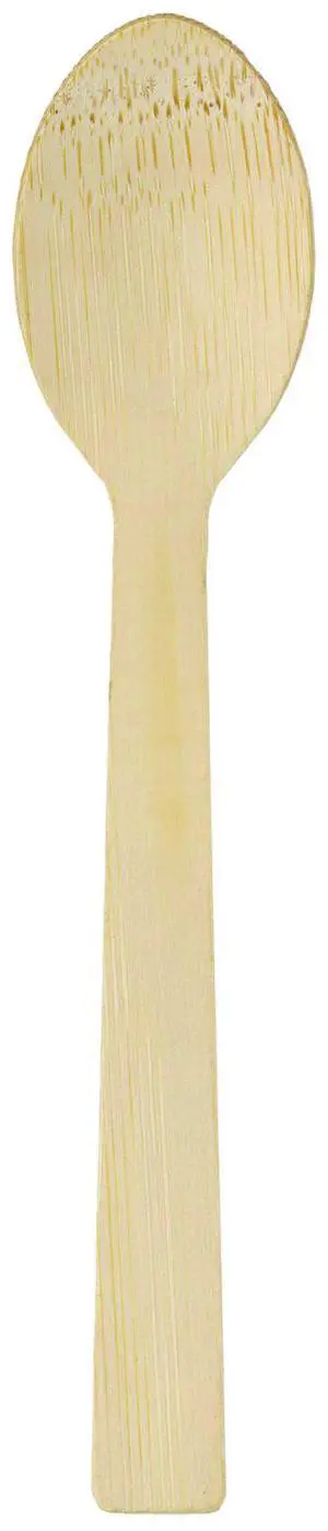 Dixie ANSBAM Bamboo Cutlery - Mediumweight Spoon - Paper - Light Golden - 100/Pack - 10 Packs/Carton