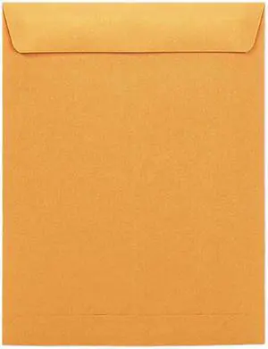 Universal Side Seam Catalog Envelope
