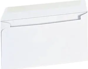 Universal Business Envelope