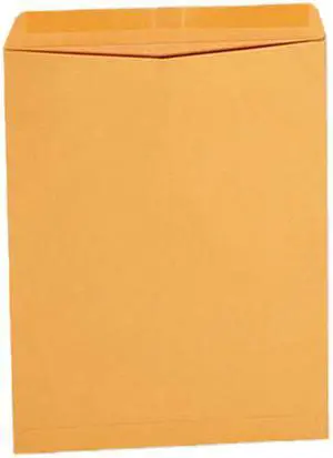 Universal Side Seam Catalog Envelope