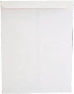 Universal 45104 Catalog Envelope
