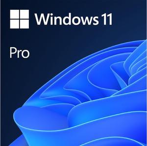 Microsoft Windows 11 Pro (Digital Download)