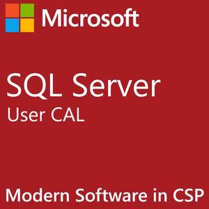 Microsoft SQL Server 2022 | 1 User CAL | Modern Software in CSP | Perpetual | Tenant ID Required | Academic Business End User